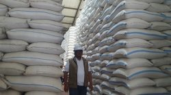 Stok Beras Bulog Tulungagung Tembus 80 Ribu Ton, Tambah Gudang untuk Optimalkan Serapan