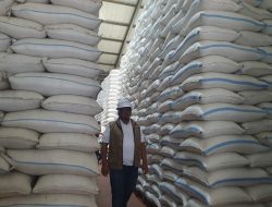 Stok Beras Bulog Tulungagung Tembus 80 Ribu Ton, Tambah Gudang untuk Optimalkan Serapan