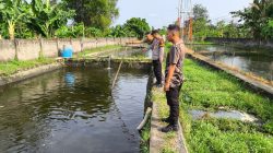 Pria Lansia di Tulungagung Tenggelam di Kolam Ikan Patin