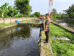 Pria Lansia di Tulungagung Tenggelam di Kolam Ikan Patin Diduga Kelelahan Saat Bekerja