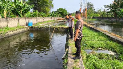 Pria Lansia di Tulungagung Tenggelam di Kolam Ikan Patin