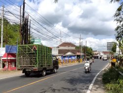 Pastikan Distribusi Hewan Kurban Lancar, Penutupan Jembatan Gondang Tulungagung Ditunda Usai Idul Adha 2026