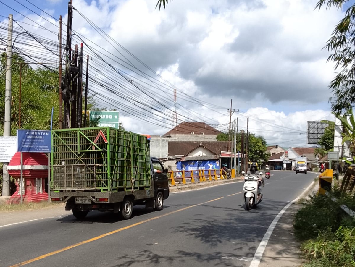 Pastikan Distribusi Hewan Kurban Lancar, Penutupan Jembatan Gondang Tulungagung Ditunda Usai Idul Adha 2026