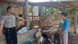 Jelang Idul Adha, Polsek Garum Intensifkan Patroli Cegah Pencurian Ternak