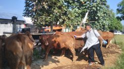 Ratusan Petugas Diterjunkan Pantau dan Periksa Hewan Kurban di Blitar Raya