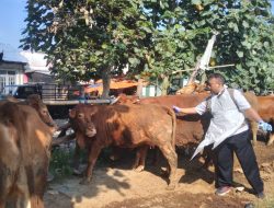 Ratusan Petugas Diterjunkan Pantau dan Periksa Hewan Kurban di Blitar Raya