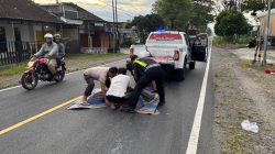 Pengendara Motor Tewas Usai Terjatuh dan Tertabrak Honda Brio di Talun Blitar