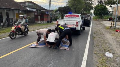 Pengendara Motor Tewas Usai Terjatuh dan Tertabrak Honda Brio di Talun Blitar