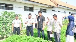 Dukung Program MBG, Lapas Lamongan Suplai Hasil Panen Selada Hidroponik ke SPPG Keduyung