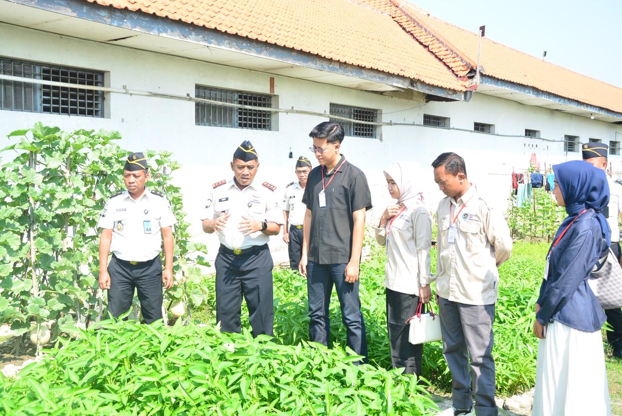 Dukung Program MBG, Lapas Lamongan Suplai Hasil Panen Selada Hidroponik ke SPPG Keduyung