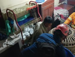 Monyet Lepas dari Kandang Serang Dua Warga di Bareng, Damkar Jombang Lakukan Evakuasi