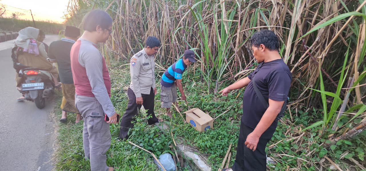 Penemuan Bayi Perempuan Meninggal di Kebun Tebu Malang Gegerkan Warga, Polisi Lakukan Penyelidikan