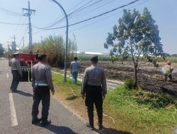 Kelalaian Pembakaran Daun Tebu Diduga Picu Kebakaran Lahan di Jegles Kota Kediri