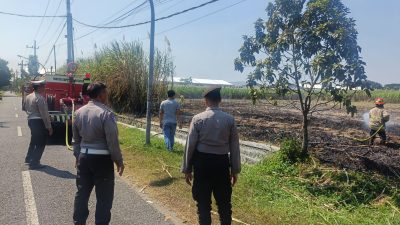 Kelalaian Pembakaran Daun Tebu Diduga Picu Kebakaran Lahan di Jegles Kota Kediri