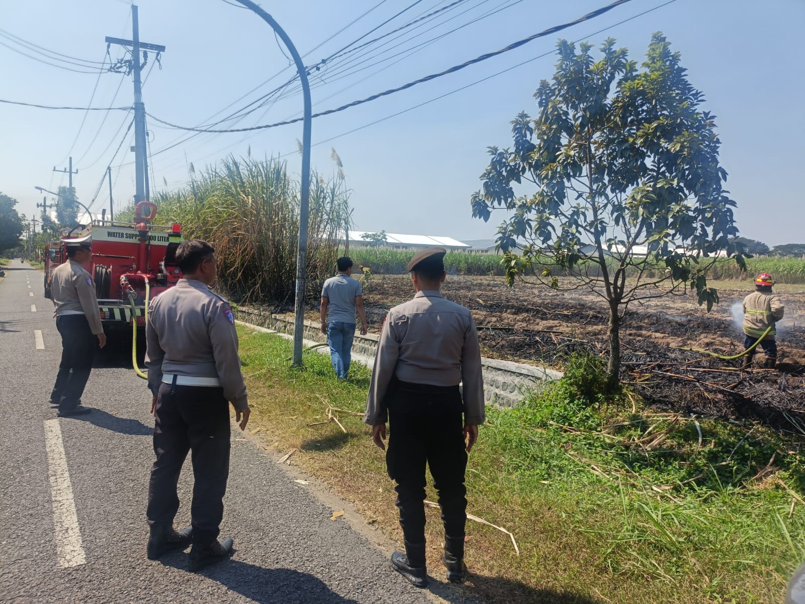 Kelalaian Pembakaran Daun Tebu Diduga Picu Kebakaran Lahan di Jegles Kota Kediri