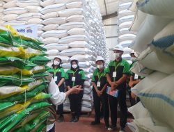 Stok Beras Melimpah, Perum Bulog Tulungagung Tambah Gudang Sewa untuk Tampung Hasil Serapan