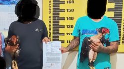 Kasus Pencurian Ayam Jago di Tulungagung Diselesaikan Lewat Restorative Justice