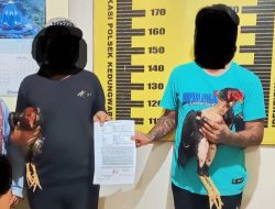 Kasus Pencurian Ayam Jago di Tulungagung Diselesaikan Lewat Restorative Justice