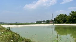Dinas PUPR Kabupaten Kediri Intensif Pantau Volume Air Waduk Hadapi Musim Kemarau