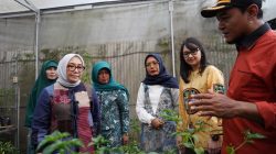 P2L Desa Tertek Jadi Percontohan Nasional, Menteri PPPA Apresiasi Kemandirian Pangan Warga