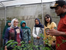 P2L Desa Tertek Jadi Percontohan Nasional, Menteri PPPA Apresiasi Kemandirian Pangan Warga