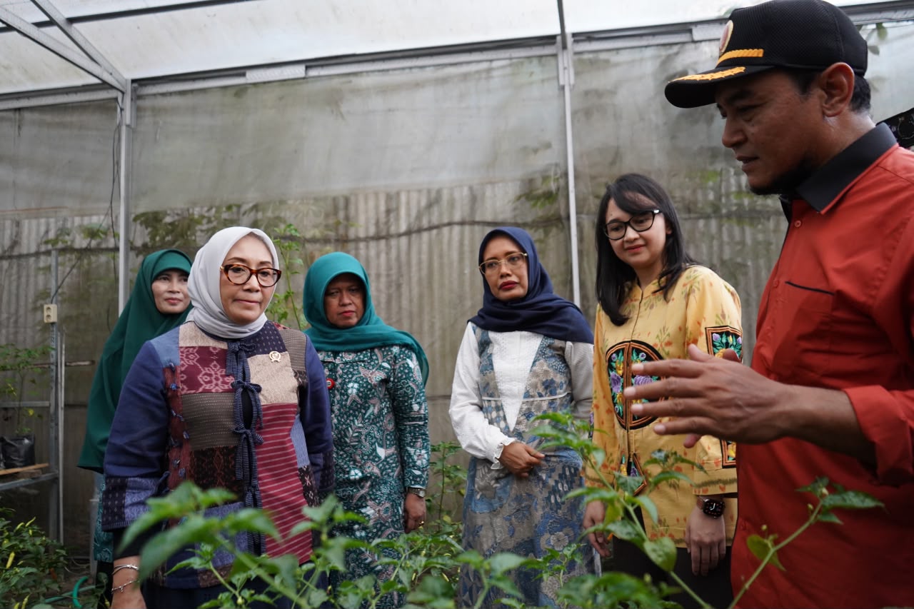 P2L Desa Tertek Jadi Percontohan Nasional, Menteri PPPA Apresiasi Kemandirian Pangan Warga