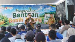 Bupati Kediri Mas Dhito Salurkan 200 Ton Benih Jagung untuk 683 Kelompok Tani, Pastikan Harga Panen Diserap Bulog