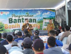 Bupati Kediri Mas Dhito Salurkan 200 Ton Benih Jagung untuk 683 Kelompok Tani, Pastikan Harga Panen Diserap Bulog