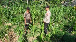 Bhabinkamtibmas Lorejo Wujudkan Swasembada Pangan Melalui Patroli Dialogis ke Petani