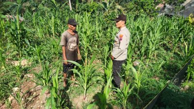 Bhabinkamtibmas Lorejo Wujudkan Swasembada Pangan Melalui Patroli Dialogis ke Petani