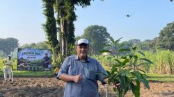 Peringati Hari Lingkungan Hidup Sedunia, PT SGN MKSO Kebun Dhoho Tanam dan Rawat Pohon