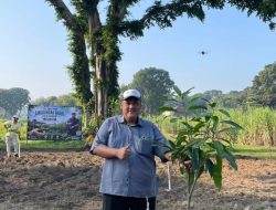 Peringati Hari Lingkungan Hidup Sedunia, PT SGN MKSO Kebun Dhoho Tanam dan Rawat Pohon