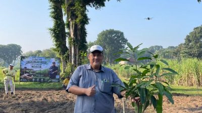 Peringati Hari Lingkungan Hidup Sedunia, PT SGN MKSO Kebun Dhoho Tanam dan Rawat Pohon
