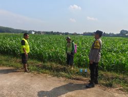 Bhabinkamtibmas Kembangarum Sambangi Petani Jagung, Perkuat Dukungan Ketahanan Pangan Nasional