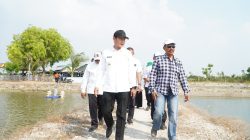 Dorong Ekspor Kerapu, Pemkab Lamongan Modernisasi Tambak dengan Teknologi IoT dan Aerator Venjet