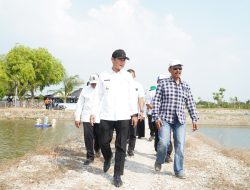 Dorong Ekspor Kerapu, Pemkab Lamongan Modernisasi Tambak dengan Teknologi IoT dan Aerator Venjet