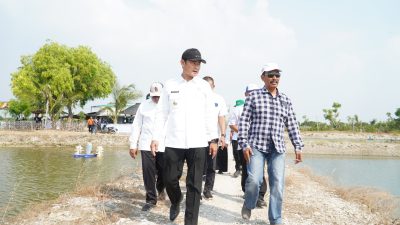 Dorong Ekspor Kerapu, Pemkab Lamongan Modernisasi Tambak dengan Teknologi IoT dan Aerator Venjet