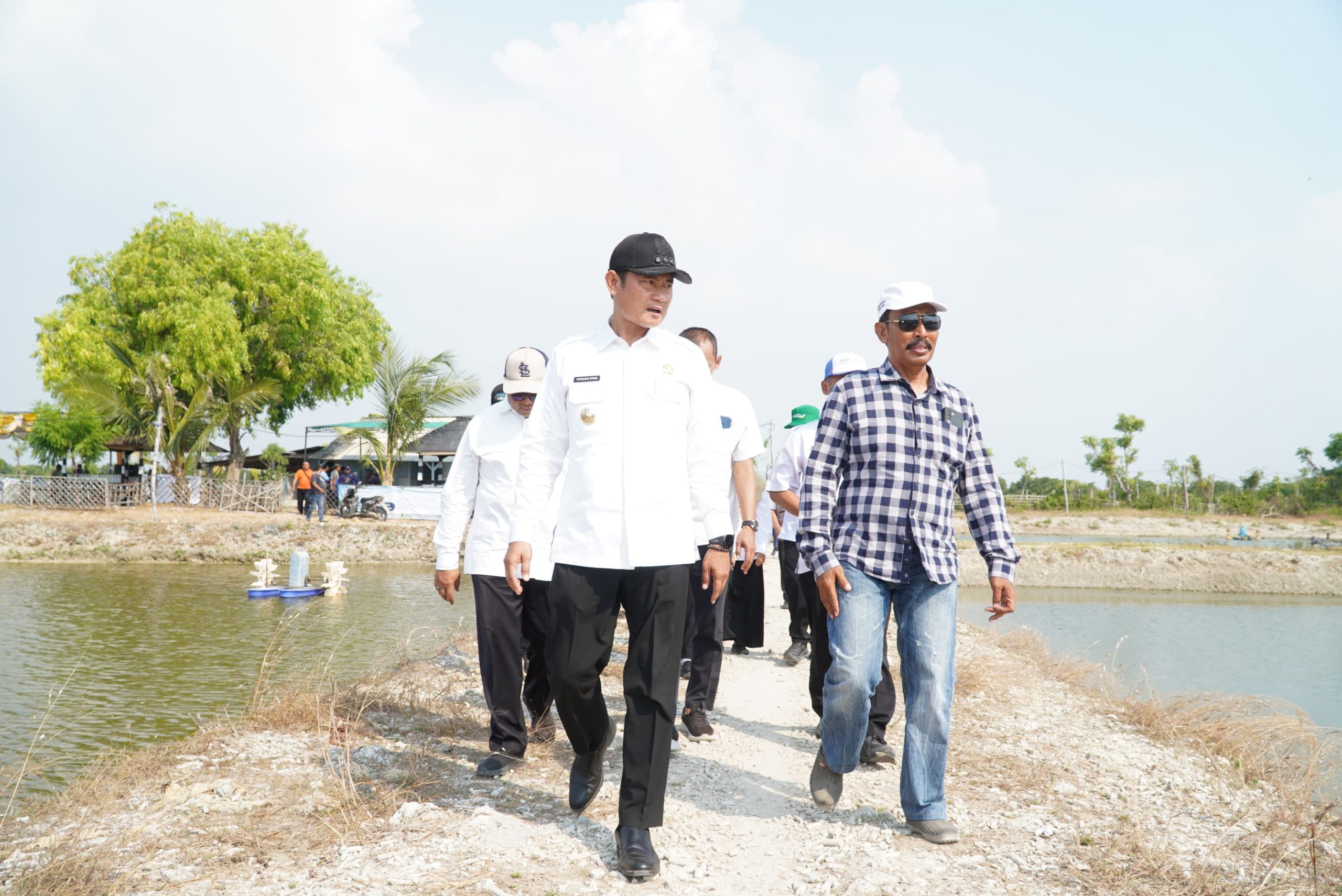 Dorong Ekspor Kerapu, Pemkab Lamongan Modernisasi Tambak dengan Teknologi IoT dan Aerator Venjet