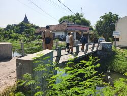 Kandang Puyuh di Kepung Kediri Terbakar, Kerugian Ditaksir Capai Rp25 Juta