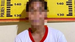 Ibu Rumah Tangga di Tulungagung Jadi Tersangka Pencurian, Polisi Tidak Lakukan Penahanan