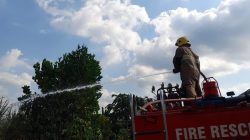Diduga Kehabisan Oksigen Saat Bakar Daduk, Pemilik Lahan Tebu di Kediri Tewas di Kebunnya