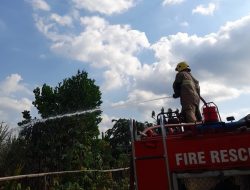 Diduga Kehabisan Oksigen Saat Bakar Daduk, Pemilik Lahan Tebu di Kediri Tewas di Kebunnya