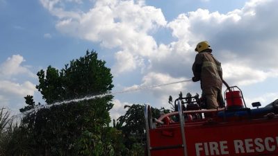 Diduga Kehabisan Oksigen Saat Bakar Daduk, Pemilik Lahan Tebu di Kediri Tewas di Kebunnya