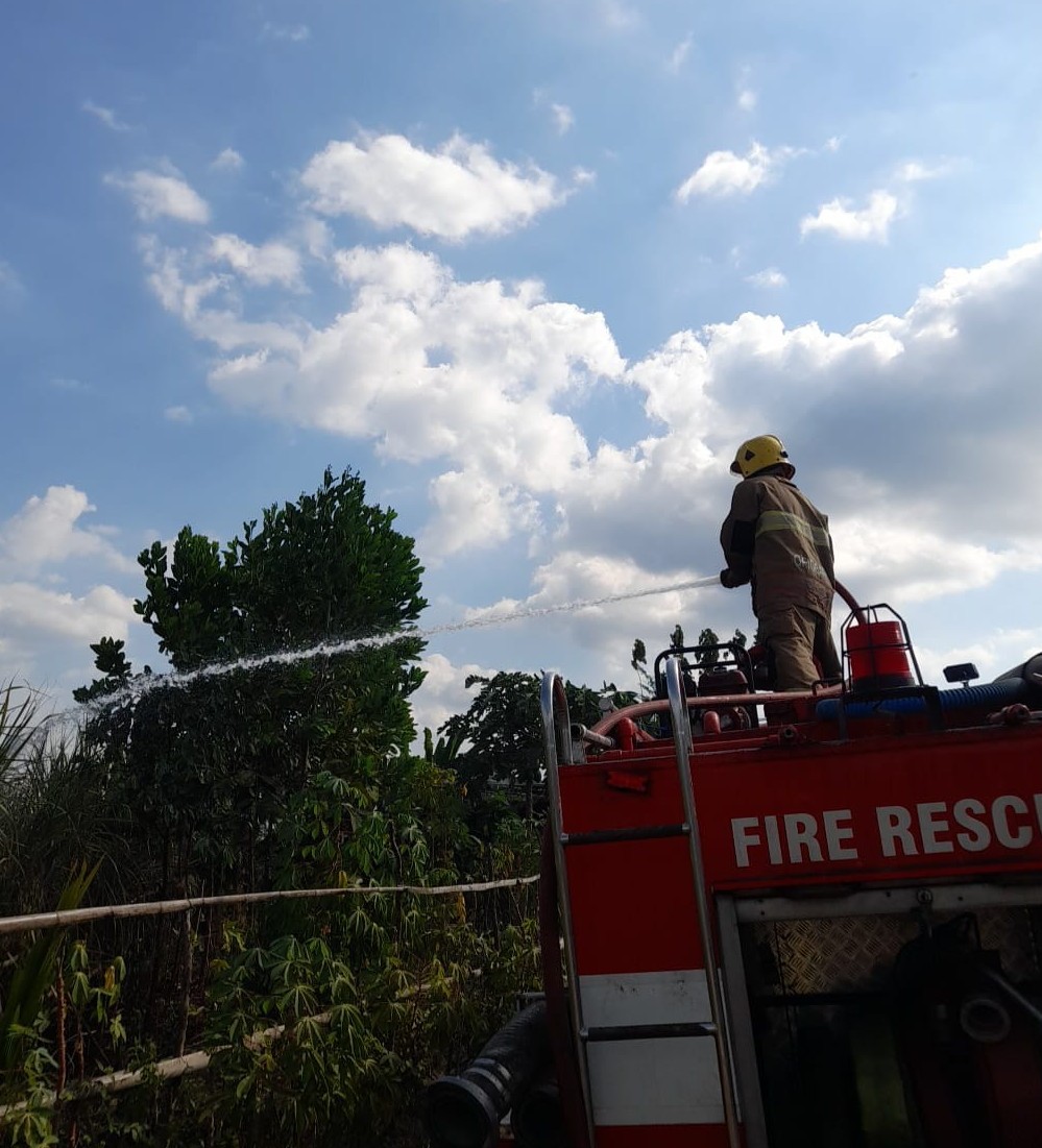 Diduga Kehabisan Oksigen Saat Bakar Daduk, Pemilik Lahan Tebu di Kediri Tewas di Kebunnya
