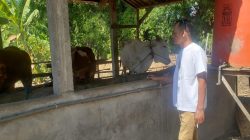 Program UPPO Poktan Tirto Mulyo 2 di Nganjuk Disorot, Belum Produksi Pupuk Organik Sejak 2023