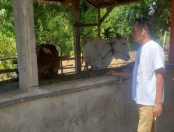 Program UPPO Poktan Tirto Mulyo 2 di Nganjuk Disorot, Belum Produksi Pupuk Organik Sejak 2023