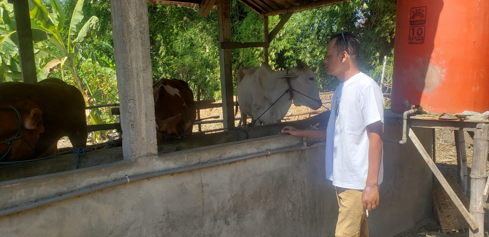Program UPPO Poktan Tirto Mulyo 2 di Nganjuk Disorot, Belum Produksi Pupuk Organik Sejak 2023