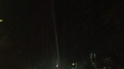 Pohon Beringin di Area Makam Ngasem Terbakar, Diduga Dibakar ODGJ
