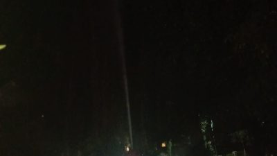 Pohon Beringin di Area Makam Ngasem Terbakar, Diduga Dibakar ODGJ