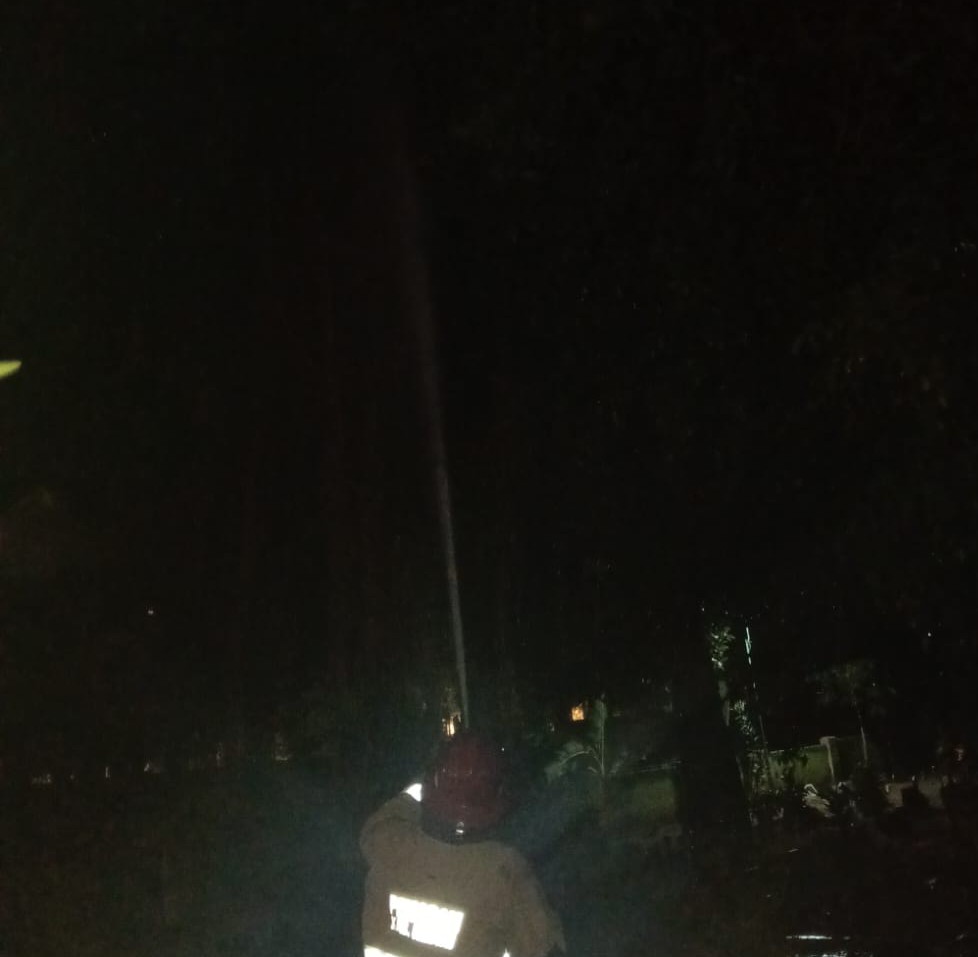 Pohon Beringin di Area Makam Ngasem Terbakar, Diduga Dibakar ODGJ
